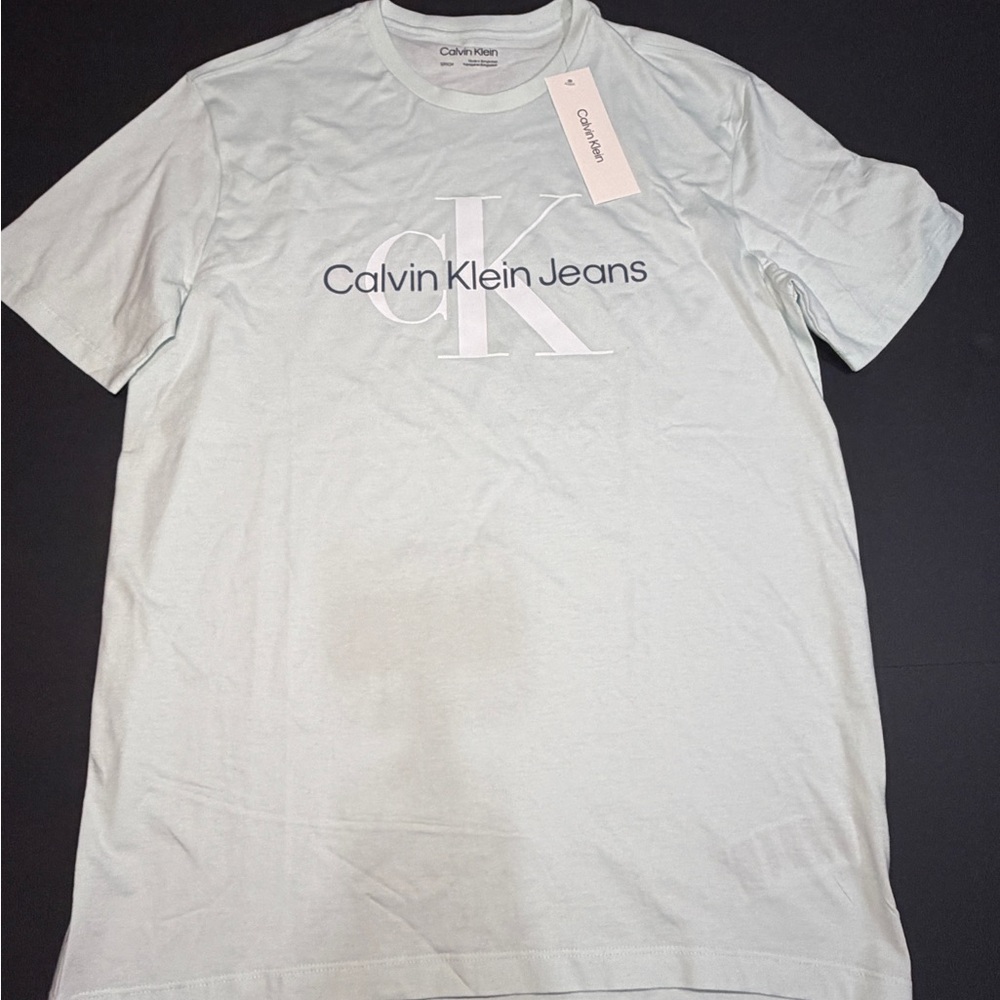 Calvin Klein Light Mint Logo Short Sleeve Tee
